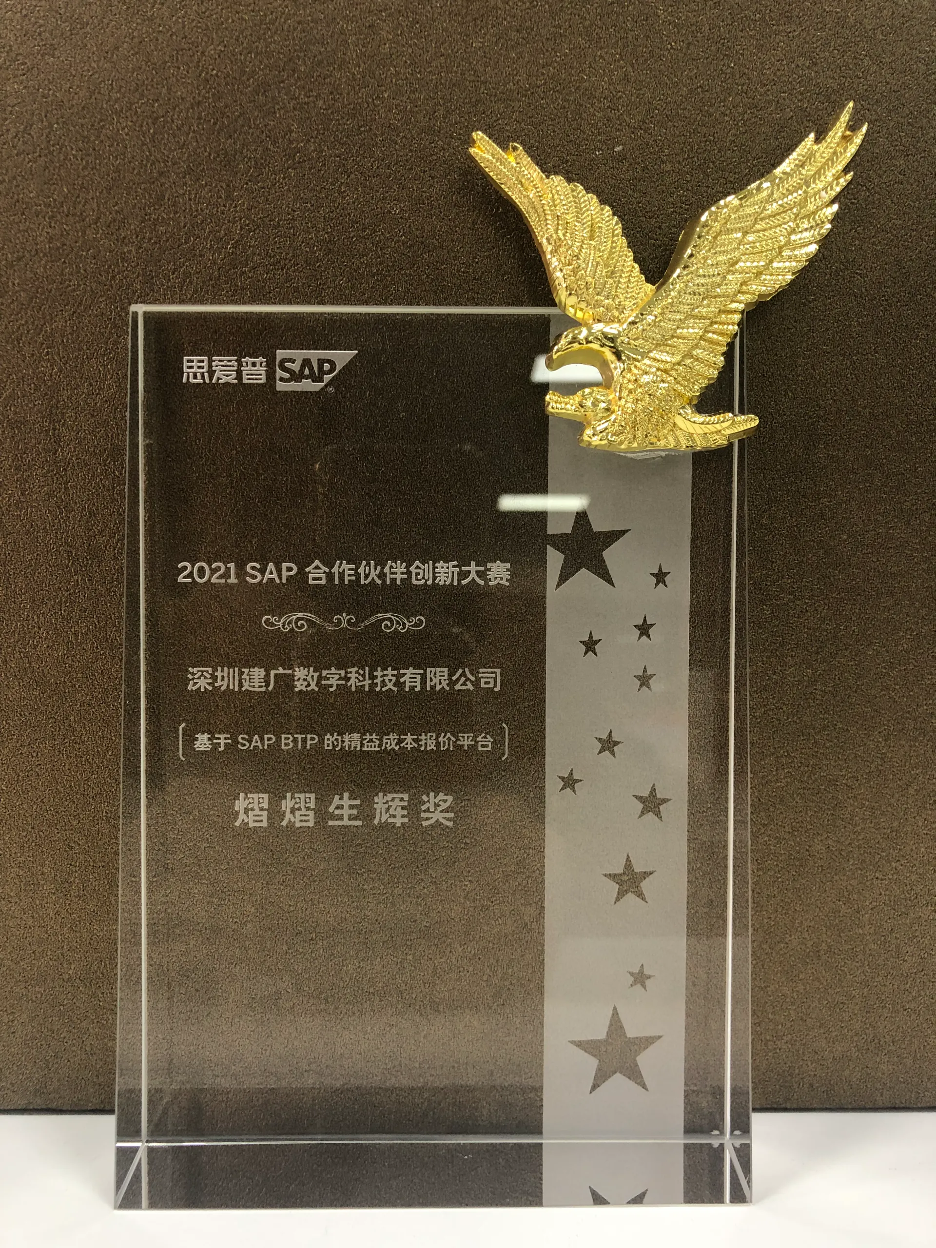 2021年SAP合作伙伴创新大赛-熠熠生辉奖